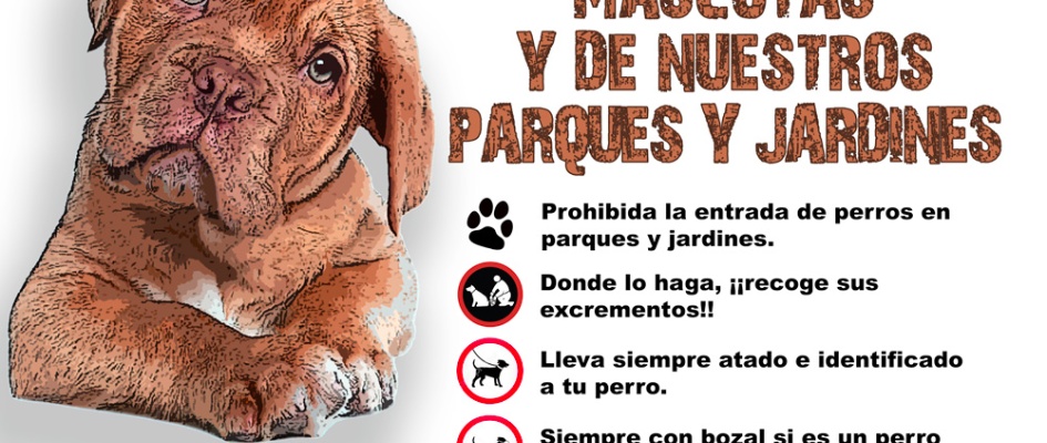 Ayuntamiento de Pedrezuela - 🐕ORINES DE PERROS Campaña de mascotas Desde  el Ayuntamiento de Pedrezuela os pedimos a los propietarios de mascotas que  evitéis que vuestros perros⚠️orinen en las esquinas de los